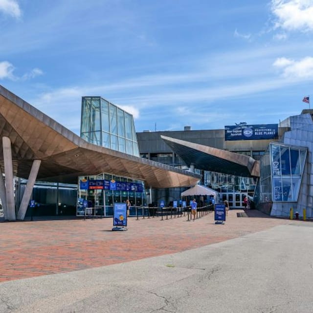 New England Aquarium Entry Ticket in Boston Pelago